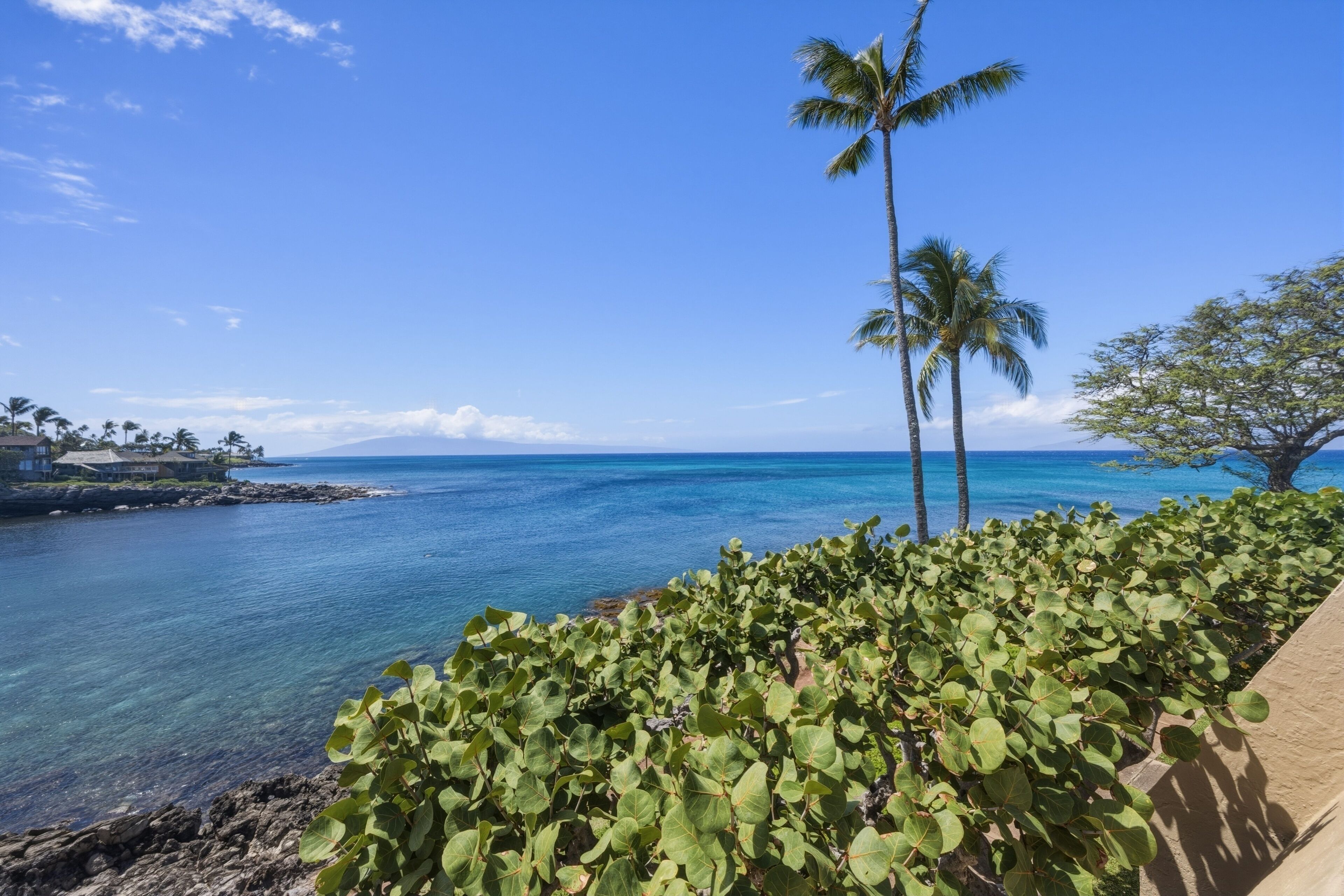 Une vue sur la côte, avec une eau bleue et limpide, des palmiers et une côte rocheuse.