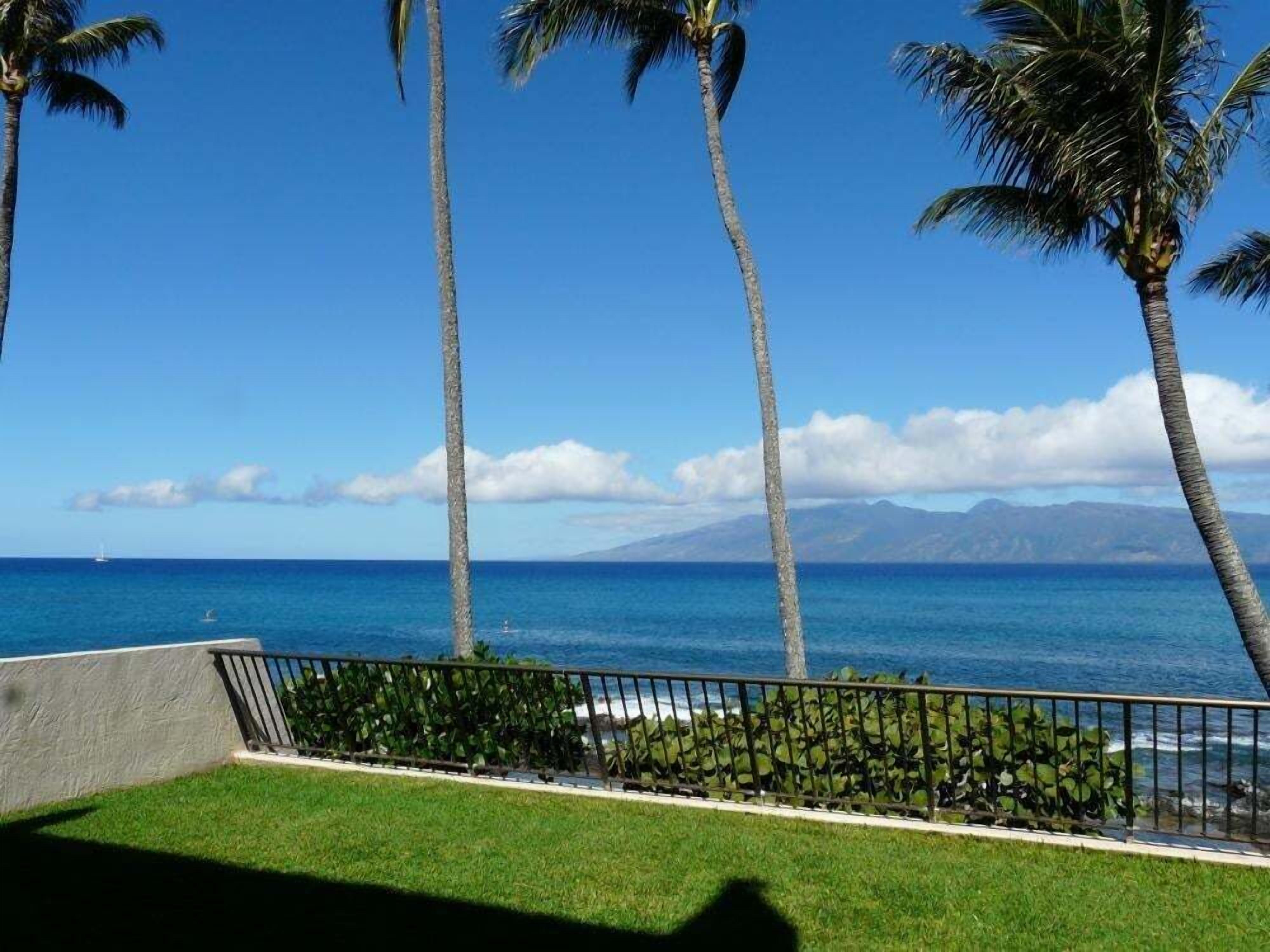 Condo, 1 phòng ngủ | Khuôn viên nơi lưu trú