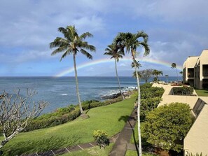 Apartment, 1 Schlafzimmer | Unterkunftsgelände