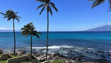 Condo, 1 phòng ngủ | Bãi biển