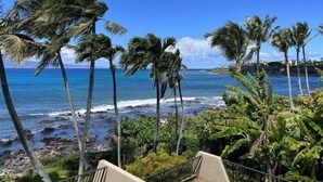 A coastal view with palm trees and a clear blue sky. - Napili Point Point Oceanfront 2br Loft - Unit C2 1 Bedroom Condo (Lahaina)