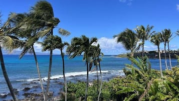 Appartamento, 1 camera da letto | Spiaggia