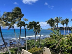 Appartamento, 1 camera da letto | Spiaggia