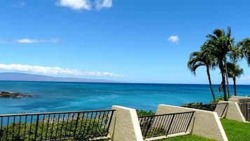 Condo, 1 Bedroom | Kawasan hartanah