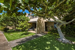 Condo, 1 Bedroom | Property grounds - Oceanfront Condo Near Napili Bay 1br - Unit A17 1 Bedroom Condo (Lahaina)