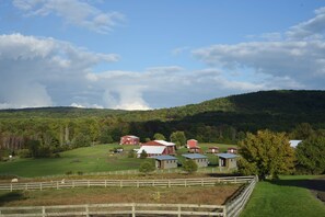 Miscellaneous - Cabin 3 - Farm Sanctuary, Finger Lakes (Watkins Glen)