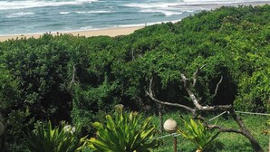 Uitzicht op een strand met oceaan golven, een zandstrand en weelderige groene begroeiing.