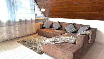 Fernseher