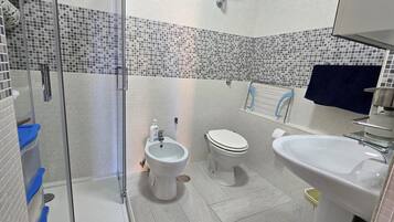 Shower, hair dryer, bidet, towels
