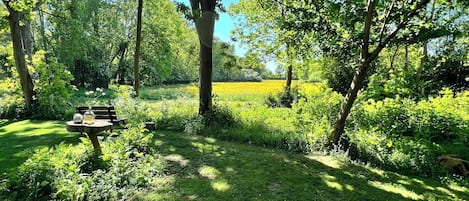 Ulkoalueet