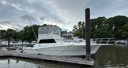 Come stay on our 40 Viking yacht - two bedrooms with restaurant and biking trail