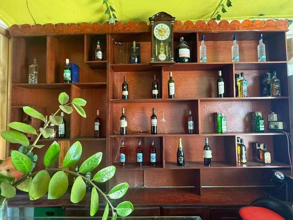 Une étagère en bois avec différentes bouteilles, une horloge et une plante.