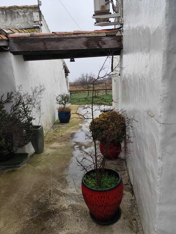 Classic Double Room | Property grounds - L'Oustau des Palunettes (Saintes-Maries-de-la-Mer)