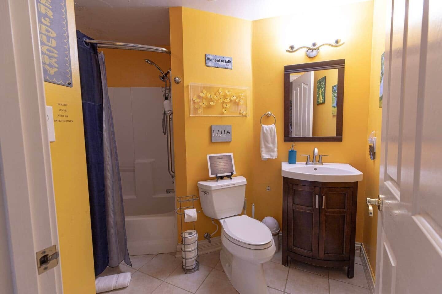 Shower, hair dryer