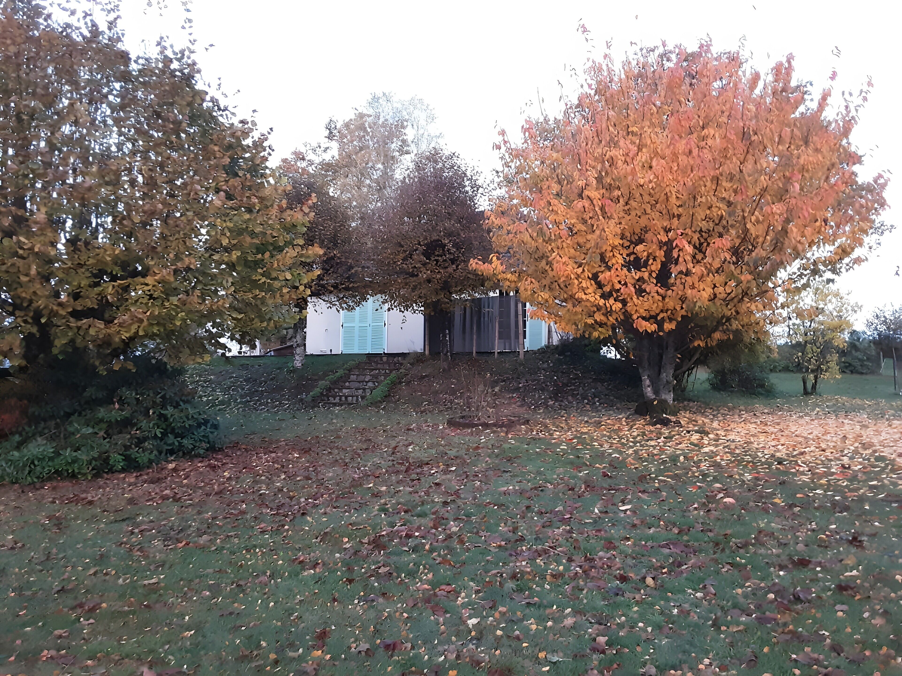 A residential area with trees, a white building with blue shutters, and a grassy lawn with fallen leaves.