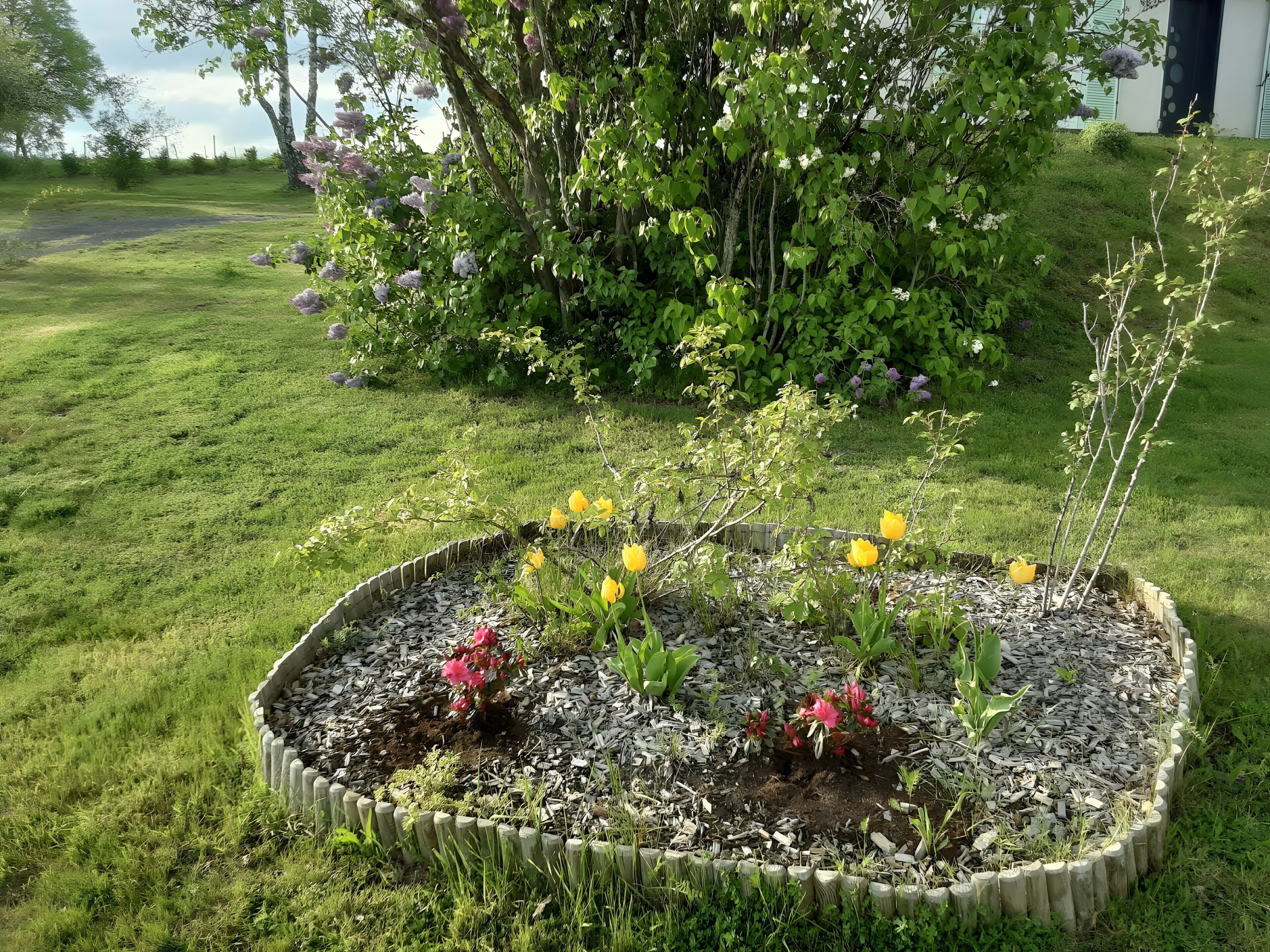 Un jardin avec un parterre de fleurs, des arbres et un bâtiment en arrière-plan.