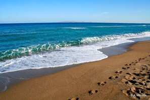Playa