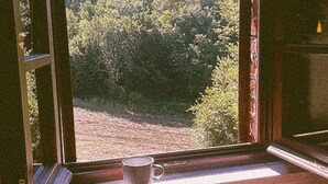 Interior - Hidden Tuscan Gem- surrounded by rolling hills. Charming villa, sleeps up to 6. (Caprese Michelangelo)