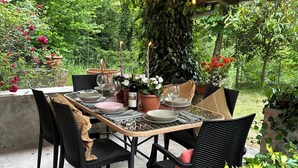 An outdoor patio with a table set for dining, surrounded by greenery and plants. - Hidden Tuscan Gem- surrounded by rolling hills. Charming villa, sleeps up to 6. (Caprese Michelangelo)