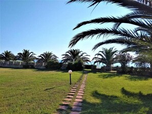 A pathway leading through a grassy area with palm trees and a fence.