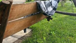 Un banco de madera con un cojín de cuadros, situado en un parque con árboles y un pabellón al fondo.