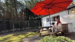 A house with a red umbrella, a fenced yard, and a person with a dog. - Matsya Hostel (Anglet)