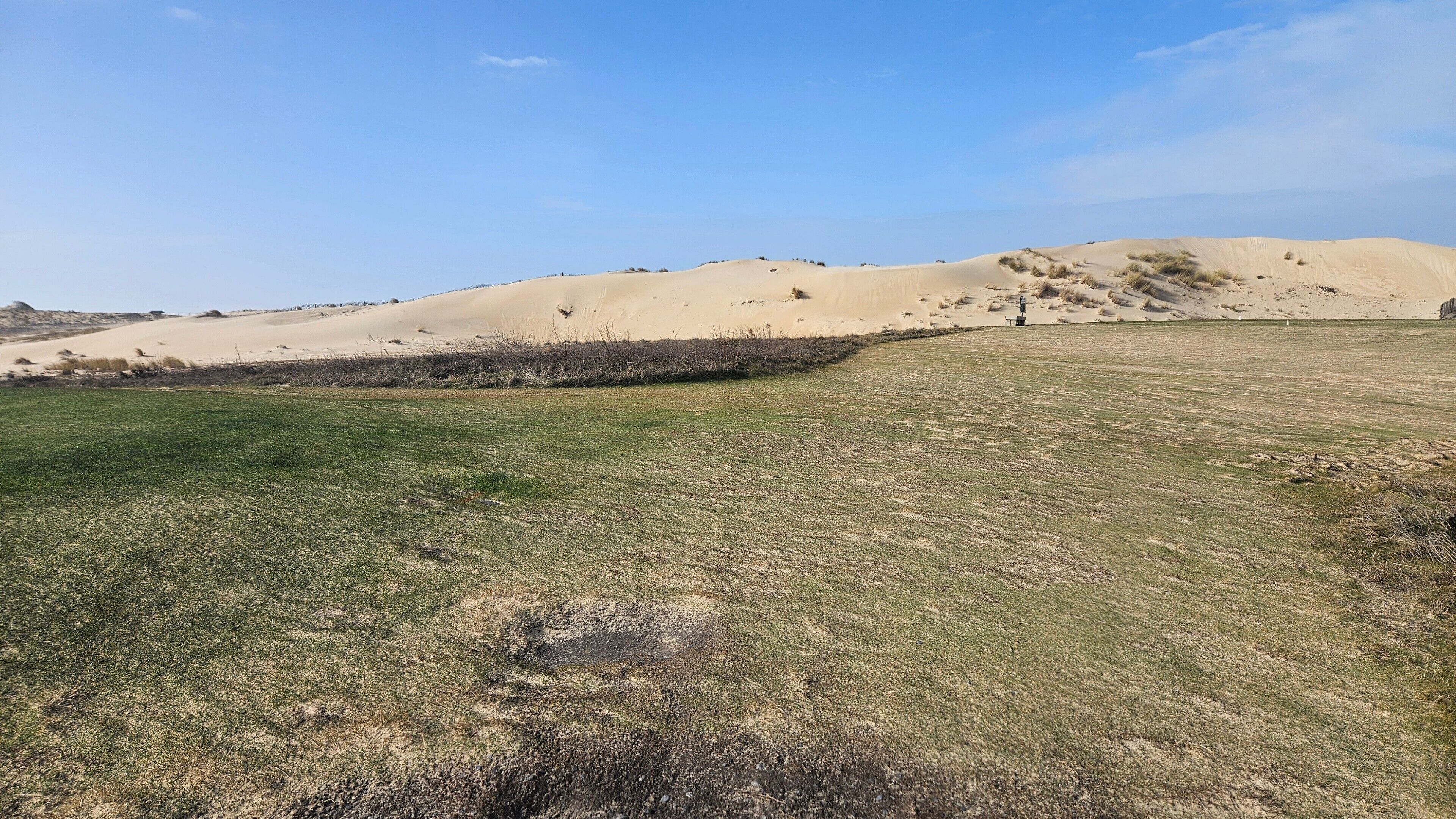 A grassy field with sand dunes in the background.