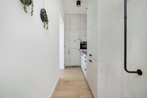 A narrow kitchen with light-colored cabinets, a wooden floor, and hanging plants. - Spacious Studio in Krakow | Close to Wawel Castle | A Place to Work (Kraków)