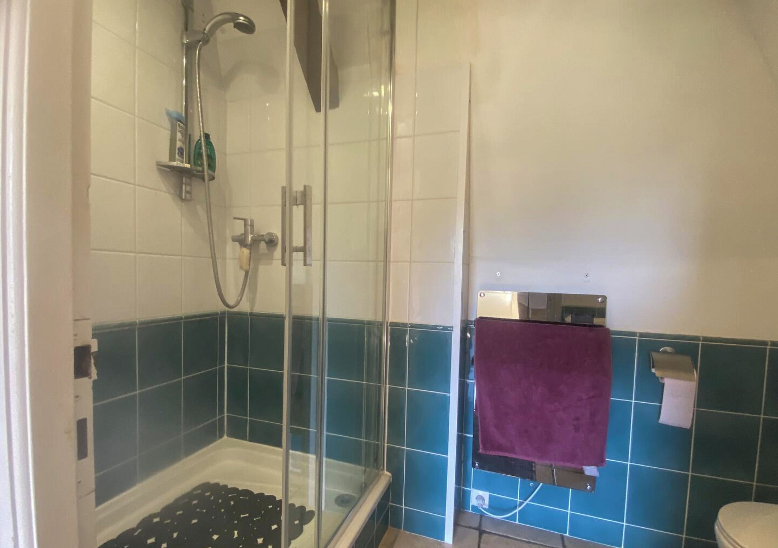 Une salle de bain avec une douche à parois de verre, des toilettes et un porte-serviettes sur lequel est posée une serviette violette.