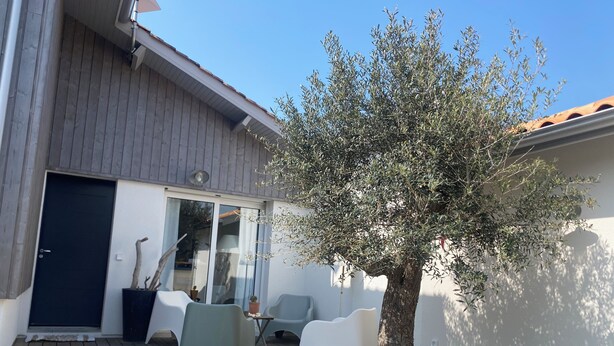 A wooden deck with outdoor furniture, a tree, and a building with a dark door and windows. - On the edge of the dune! sleeps 10, pool 100 m from the beach, all on foot!!! (Moliets-et-Maa)