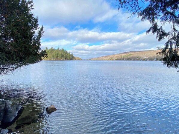 Un lago tranquilo con aguas cristalinas, rodeado de árboles y colinas.