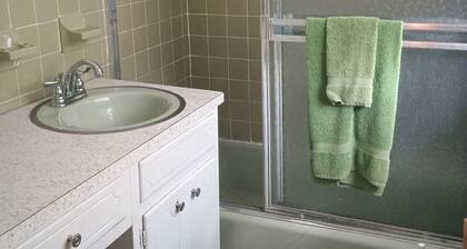 Tranquil 1-bedroom cottage with AC in charming Augusta near the Masters!
