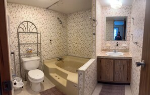 Hair dryer, towels, soap, toilet paper - 2-bedroom mobile home in Henderson (Henderson)