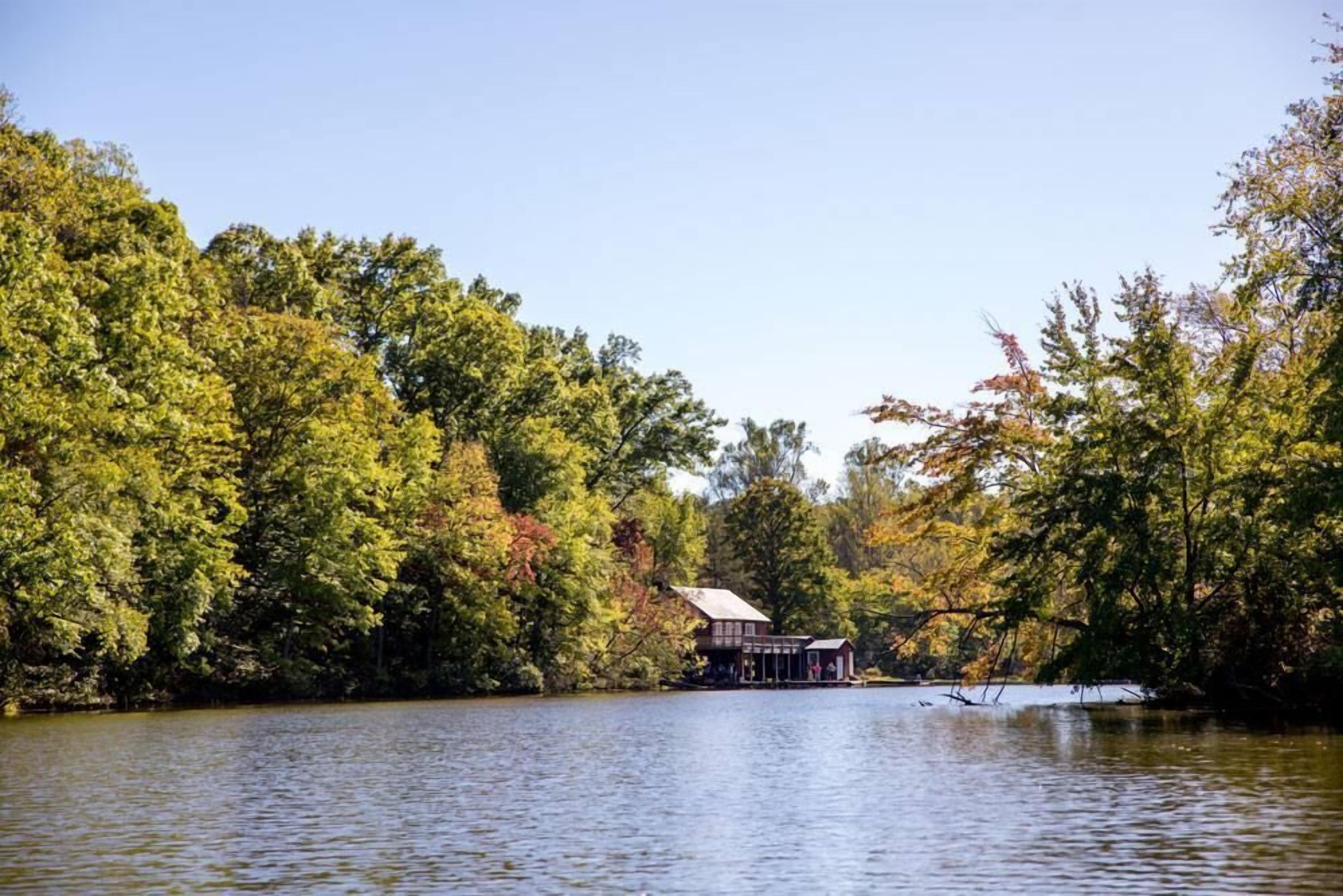 A lakeside cabin with a dock, surrounded by dense trees.