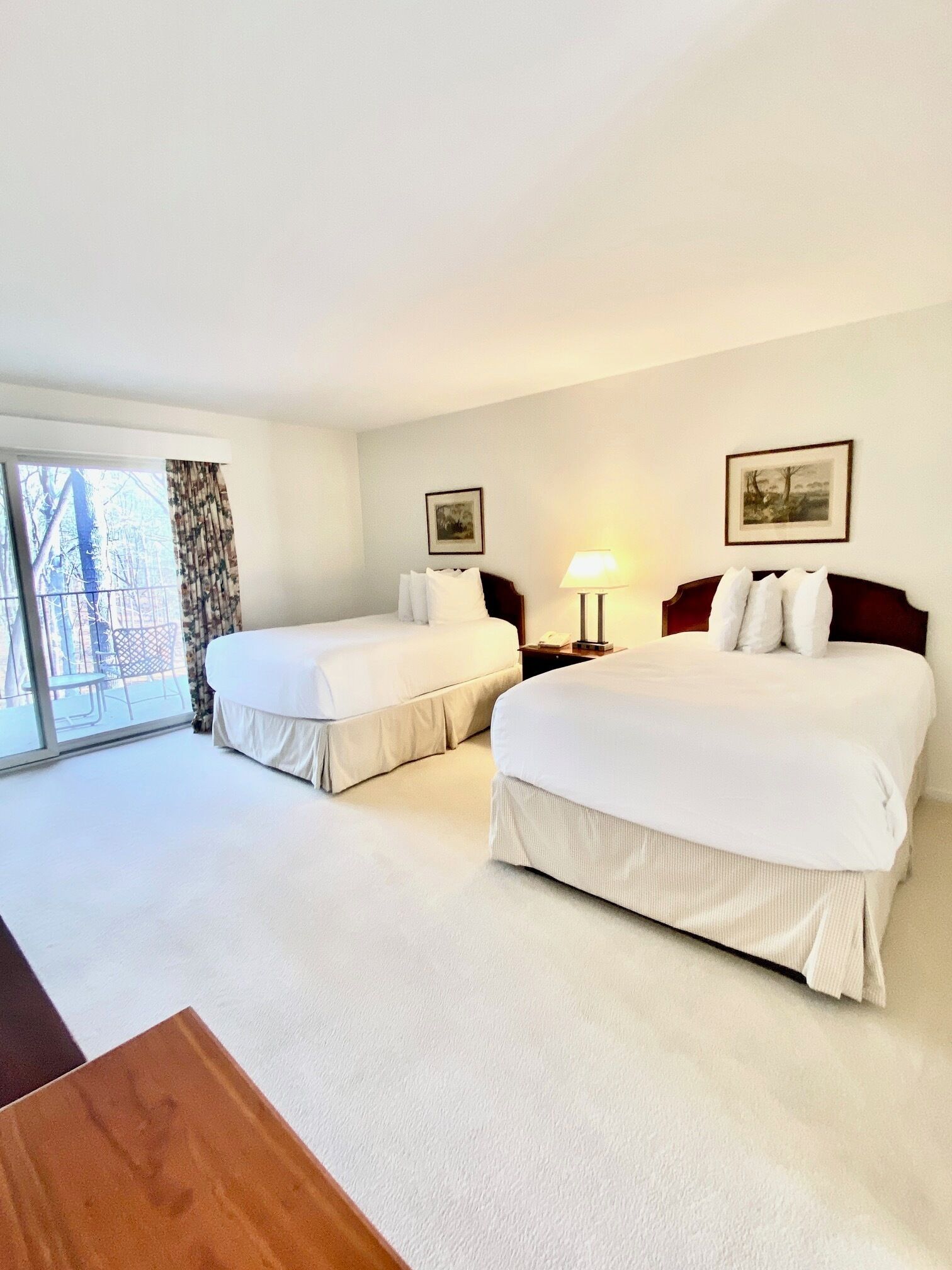 Single Room, 2 Double Beds, Balcony, Mountain View