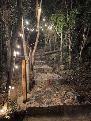 A stone pathway in a forested area with string lights. - NEW & PRIVATE Cottage: Ocean Views, A/C, Solar, WiFi, Covered Porch (St.John)
