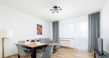 Comfortable Apartment in Bielsko | Balcony | Workspace
