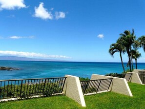 Property grounds - NEW! Oceanfront Condo Near Napili Bay 1BR - Unit B19 (Lahaina)