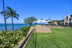 Property grounds - NEW! Oceanfront Maui Retreat at Napili Point - Unit B16 (Lahaina)