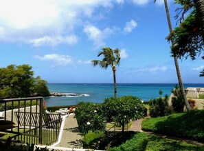 Property grounds - NEW! Ocean View Napili Point Condo 1BR - Unit B38 (Lahaina)
