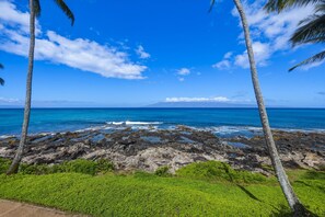 Beach - NEW! Napili Point Point-Front Oceanview Condo - Unit B3 (Lahaina)