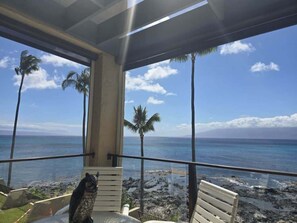 Property grounds - NEW! Napili Point Oceanfront Family Loft - Unit C4 (Lahaina)