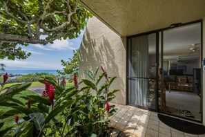 Terrace/patio - NEW! Oceanfront Condo Near Napili Bay 1BR - Unit A17 (Lahaina)