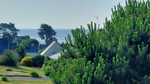 Un quartier résidentiel avec une maison, de la verdure et une vue sur la mer.