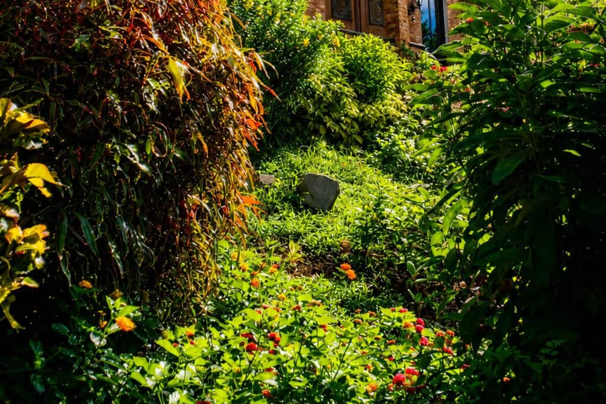 Grand villa, uitzicht op tuin | Gratis wifi