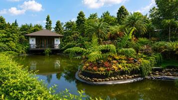 A serene pond with a small island garden, surrounded by lush greenery and a single-story building with a balcony.