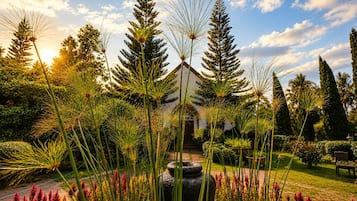 A garden with tall trees, a fountain, and a building with a white facade.