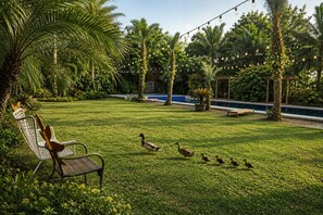 Un espace extérieur verdoyant avec une piscine, des palmiers et une chaise.