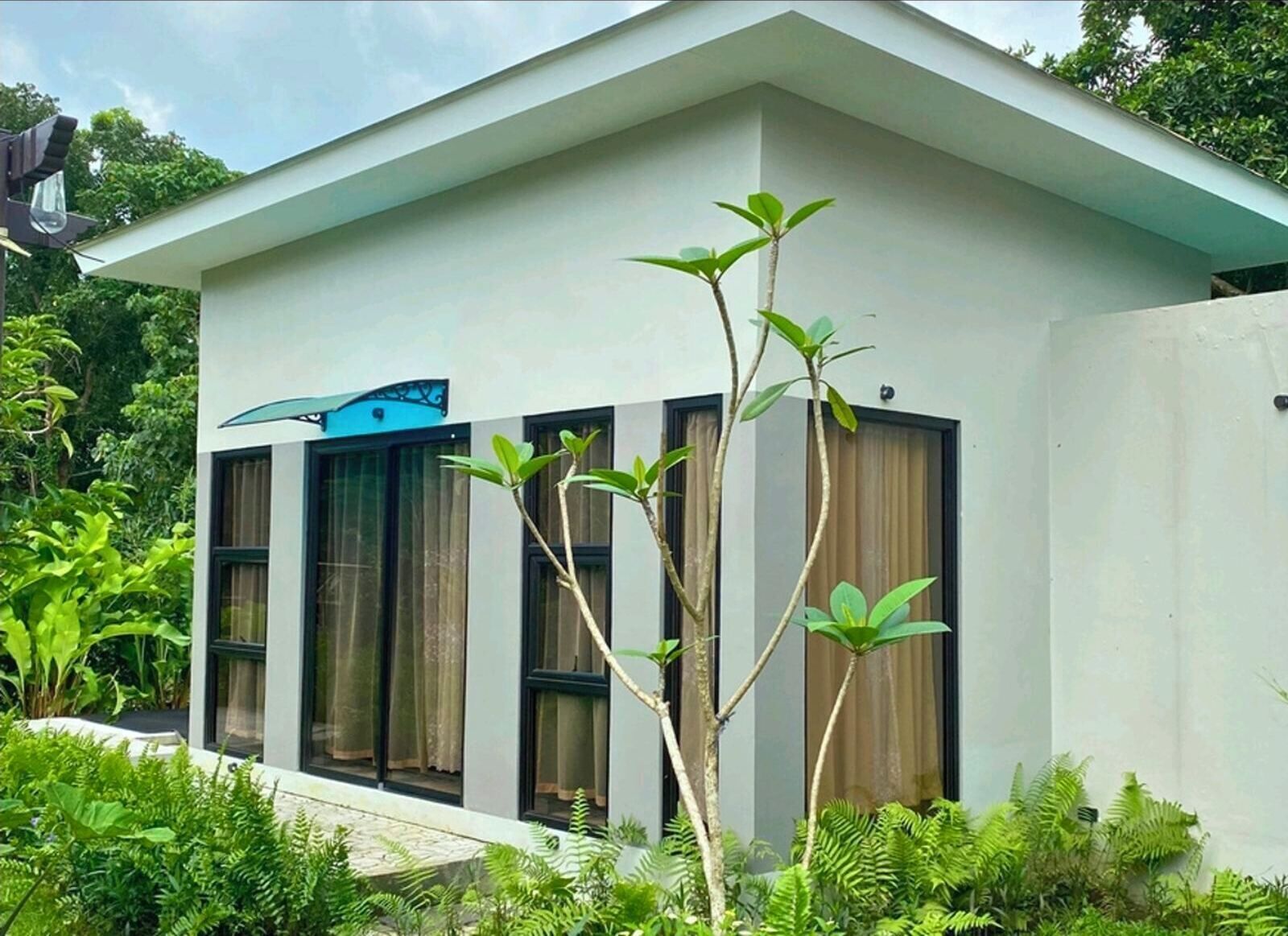 Bungalow Premier, pemandangan kebun
