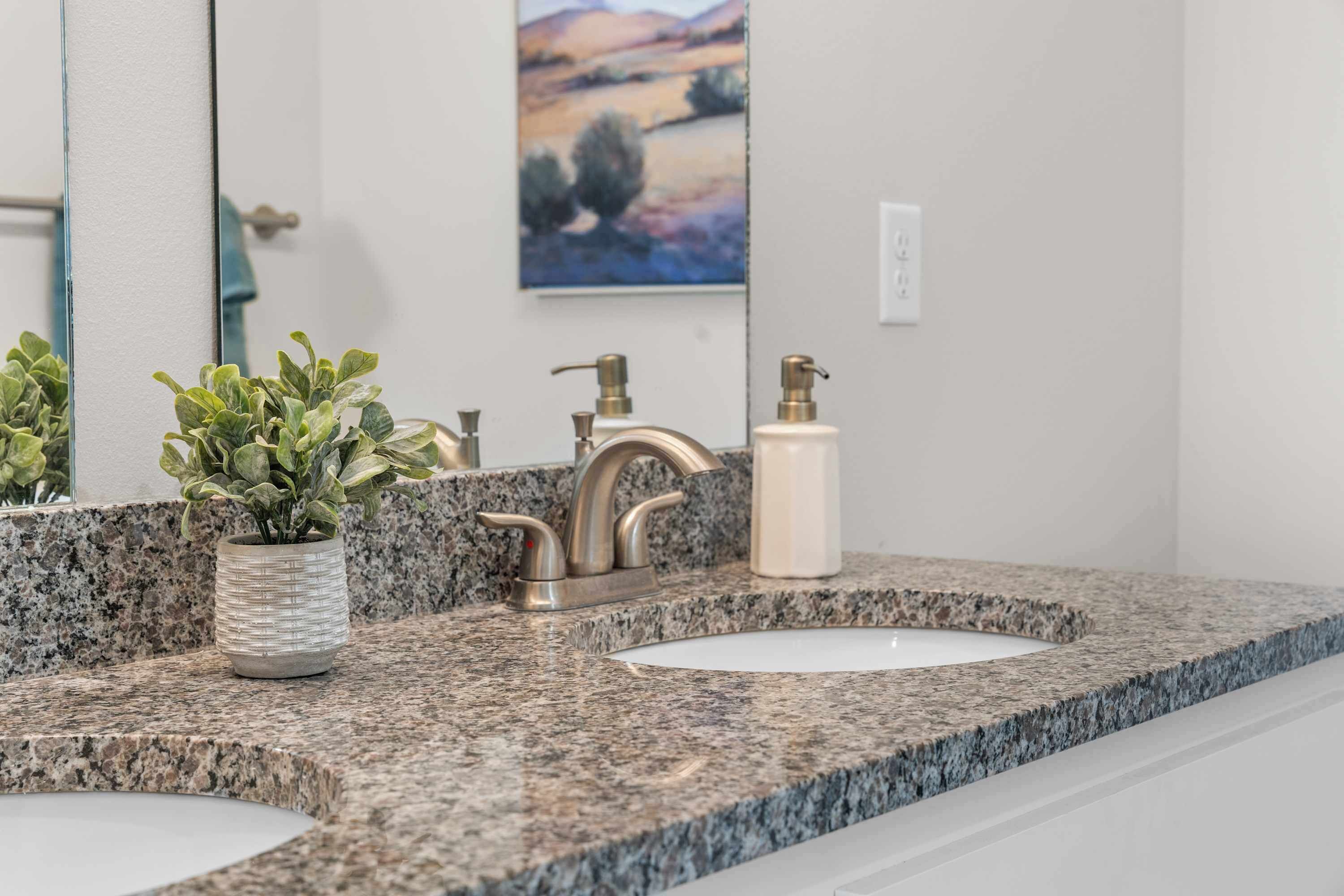 A bathroom with granite countertops, a sink, a mirror, a faucet, a soap dispenser, and a potted plant.